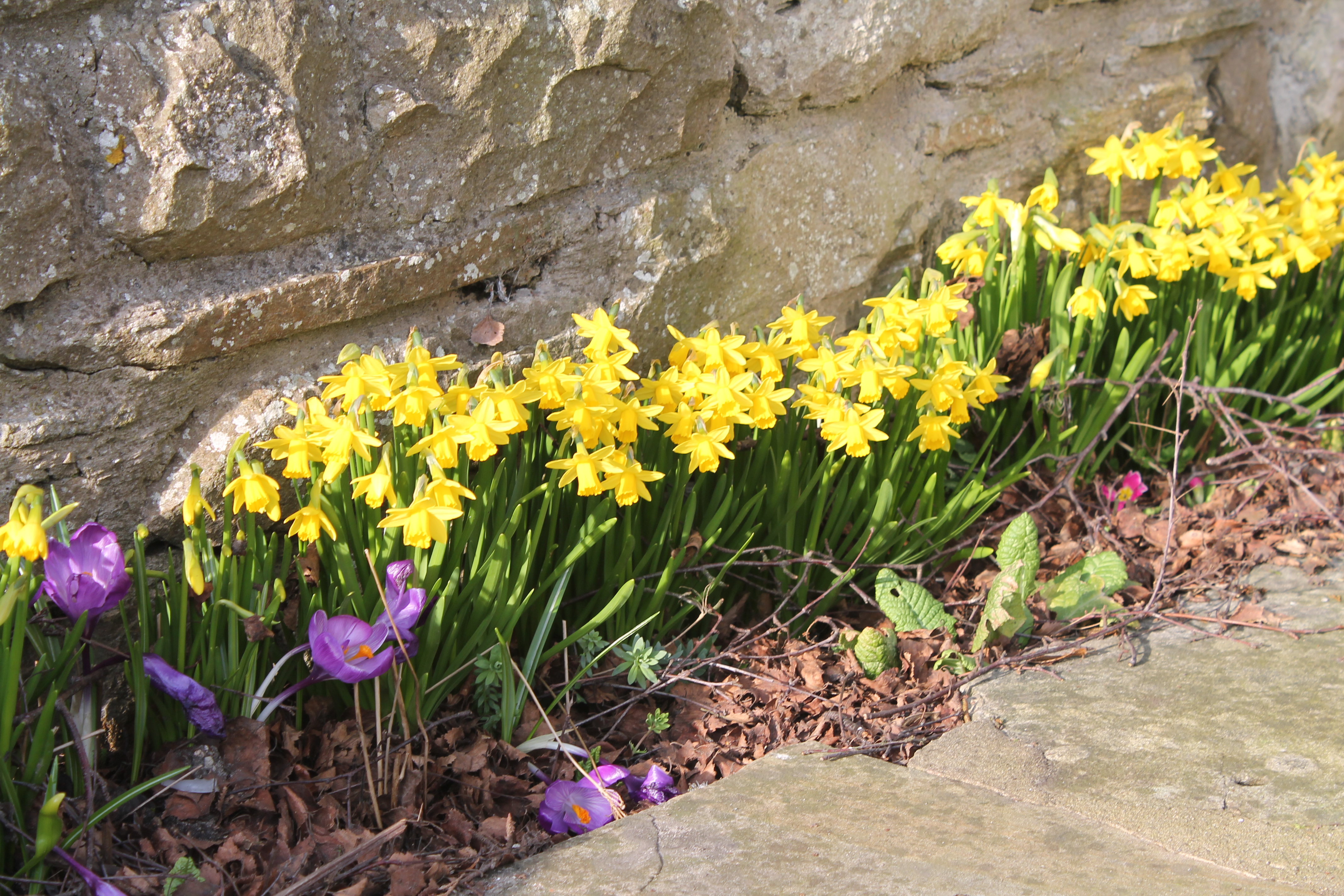 Spring at Flax Mill